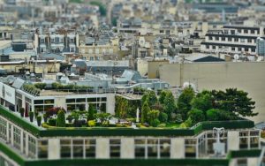 roof-terrace-1423897_640